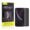 Cristal temperado privacidade iphone X / XS / 11 Pro protetor de tela 5D curvado